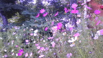 130826y 065.jpg